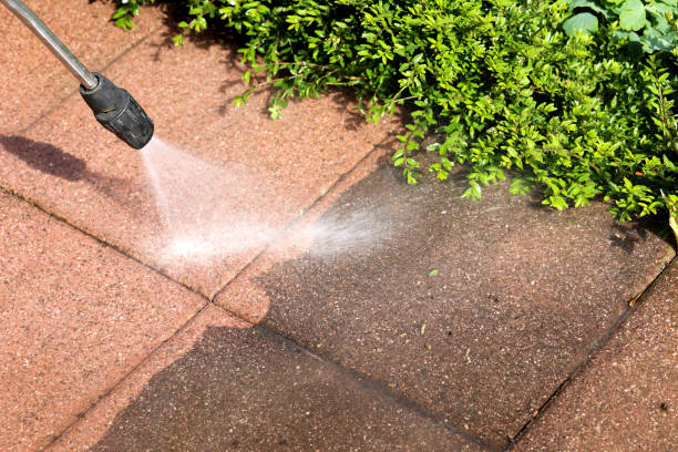 Best Roof Power Washing Services  in Ross, CA